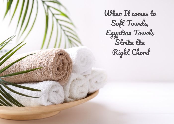 When It comes to Soft Towels, Egyptian Towels Strike the Right Chord When It comes to Soft Towels, Egyptian Towels Strike the Right Chord