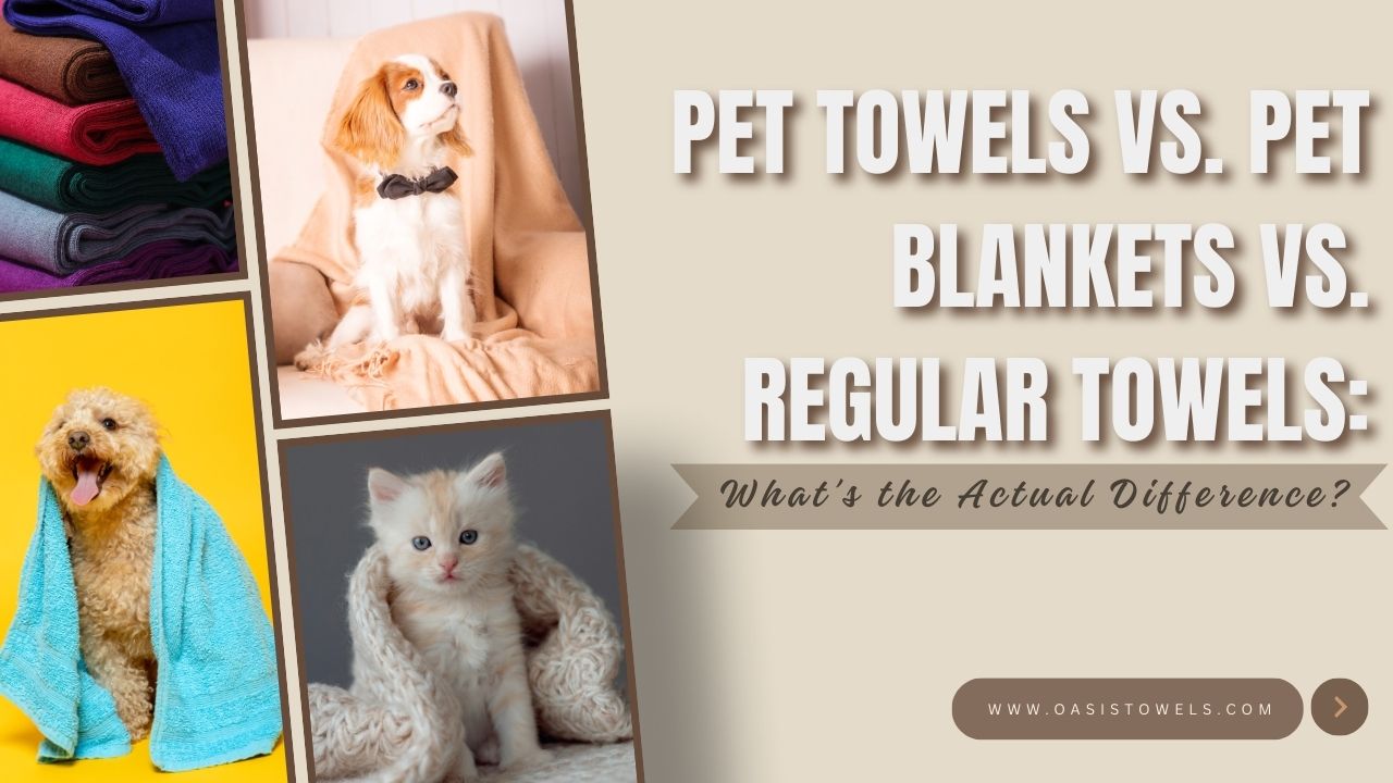Pet Towels vs. Pet Blankets vs. Regular Towels